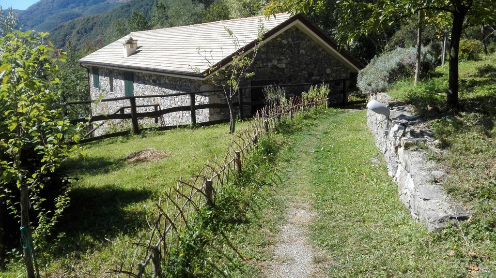 Agriturismo Il Mulino Stibiveri Eksteriør bilde