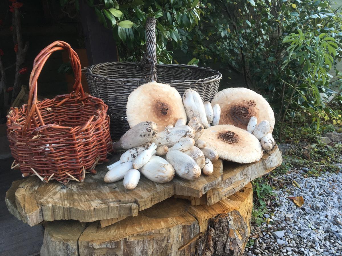 Agriturismo Il Mulino Stibiveri Rom bilde